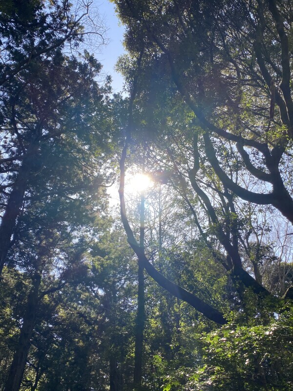 出勤日決まりました😊💕