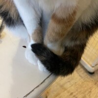 やばいい😖