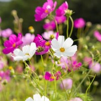 幸せな1日になりました☺️✨
