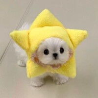 一緒に♡