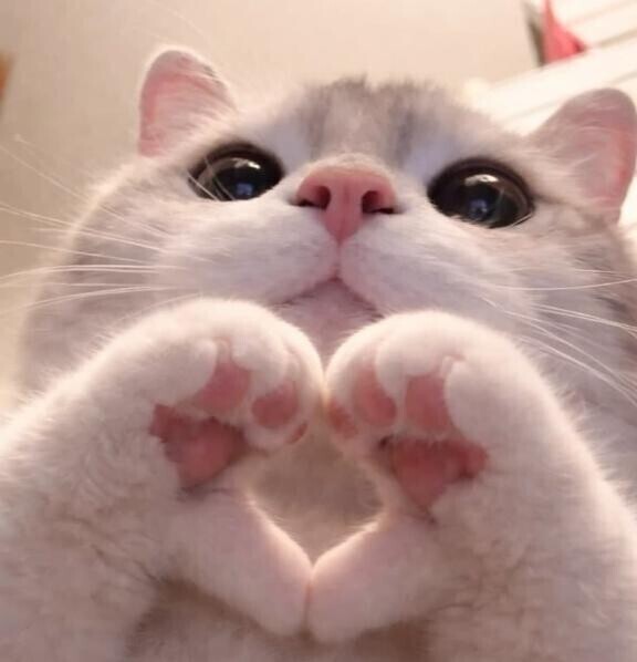 嬉しい♡