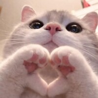 嬉しい♡