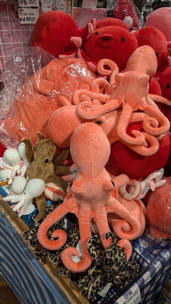 タコちゃん🐙お店へ寄付しました（笑）