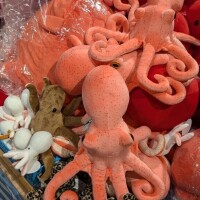 タコちゃん🐙お店へ寄付しました（笑）