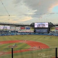 来年は……