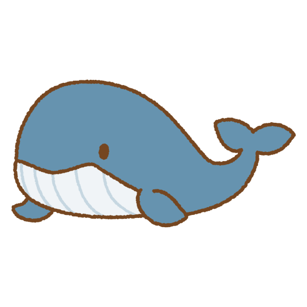 鯨🐳