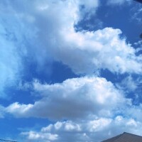 午後の時間❣️