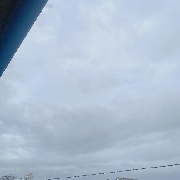 今日は。。