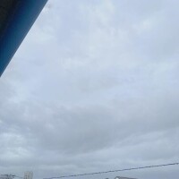 今日は。。