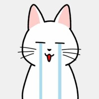 来てしまいました…