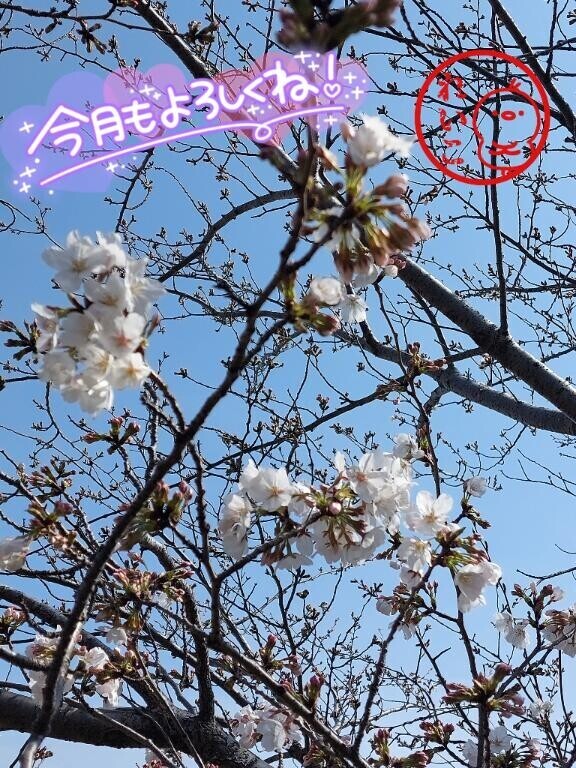 あまり…
