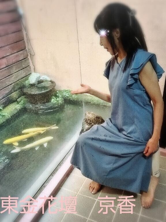 旅館風な所にお招き頂き有難う御座います