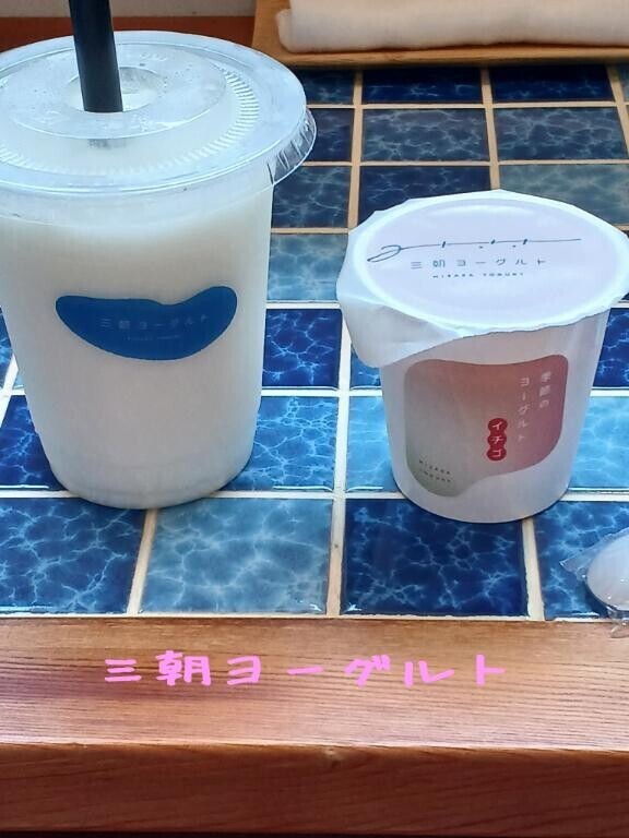 【三朝ヨーグルト】