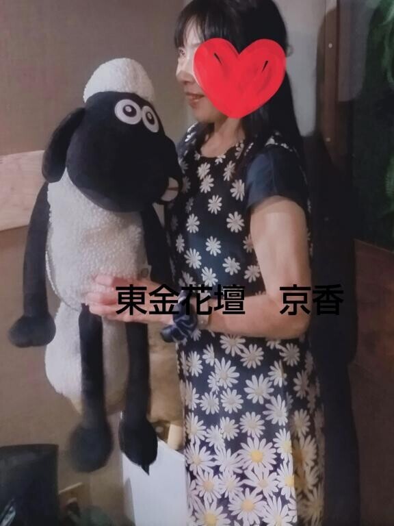 羊、可愛かったです