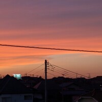 樹奈（じゅな）