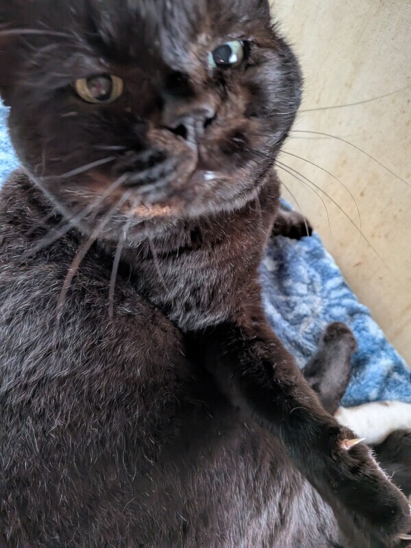 寒い夜だから…