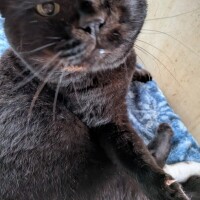 樹奈（じゅな）