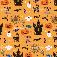 明美（あけみ）