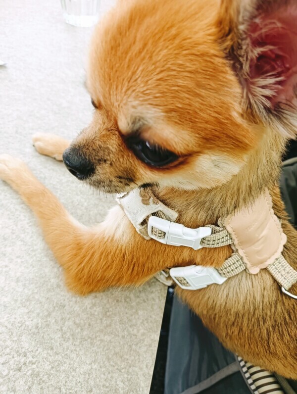 おはようございます😊