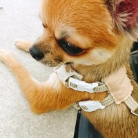 絵里香（えりか）