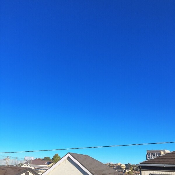 おはようございます😊