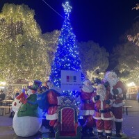 真昼（まひる）