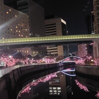 玲子（れいこ）