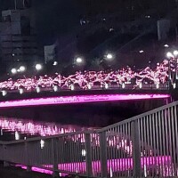 玲子（れいこ）