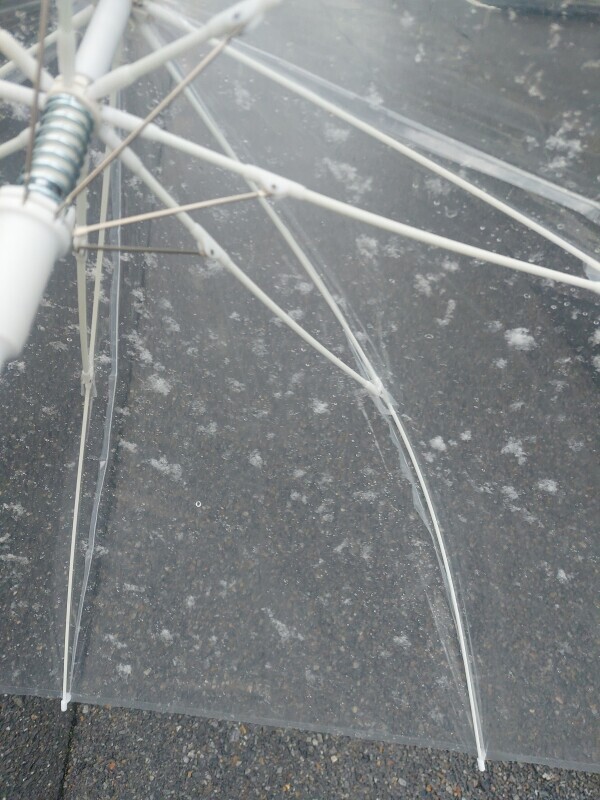 気をつけてね⚠️