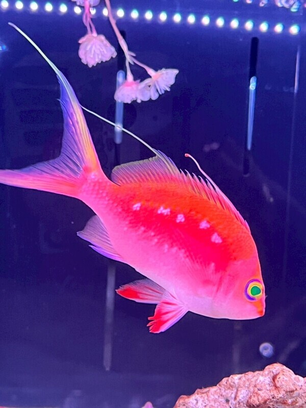 おはようございます