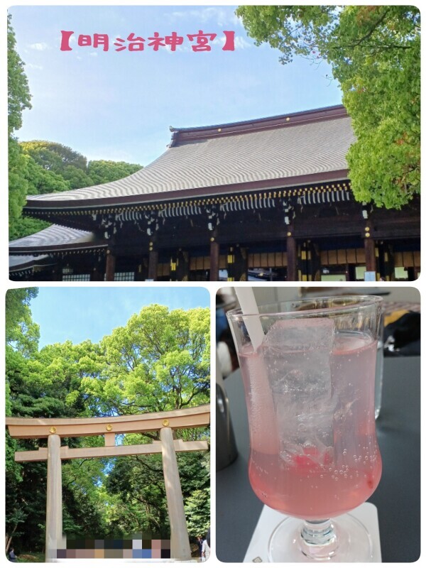 【東京明治神宮】