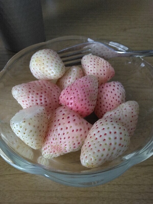 おはようございます♡