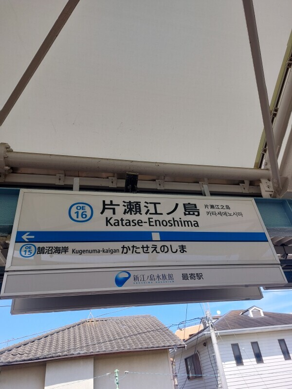 出勤かも⁉️