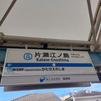 玲子（れいこ）