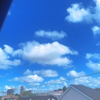 溶ける🫠