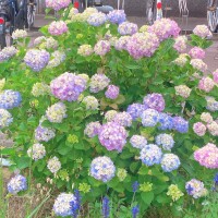 お仕事おつかれさまです❣️