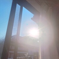 おはよう🍀*゜