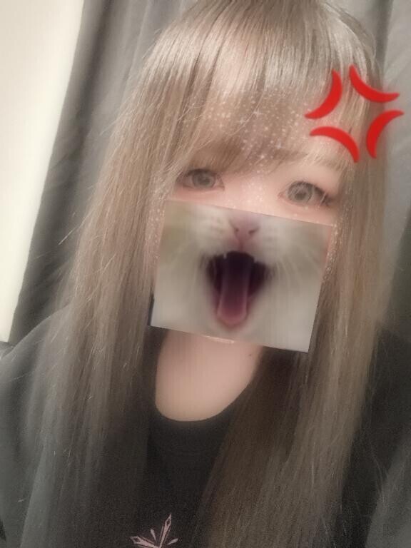 おはよう