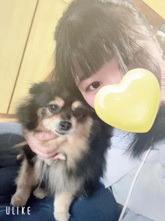 激アツだけど