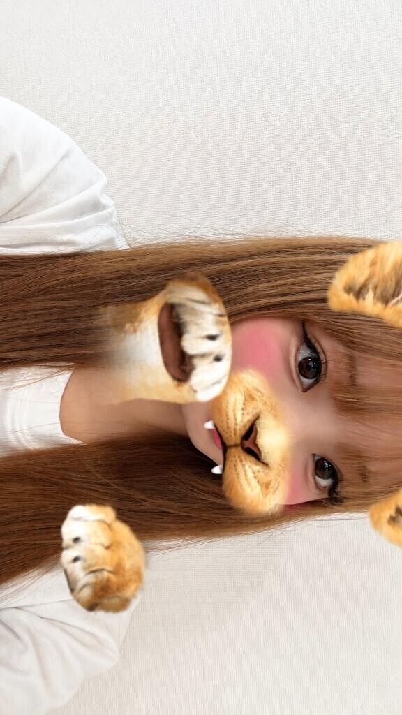 むかっております
