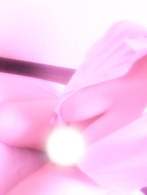 ラヴ上等のおっパイ