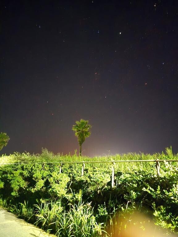 綺麗な星空