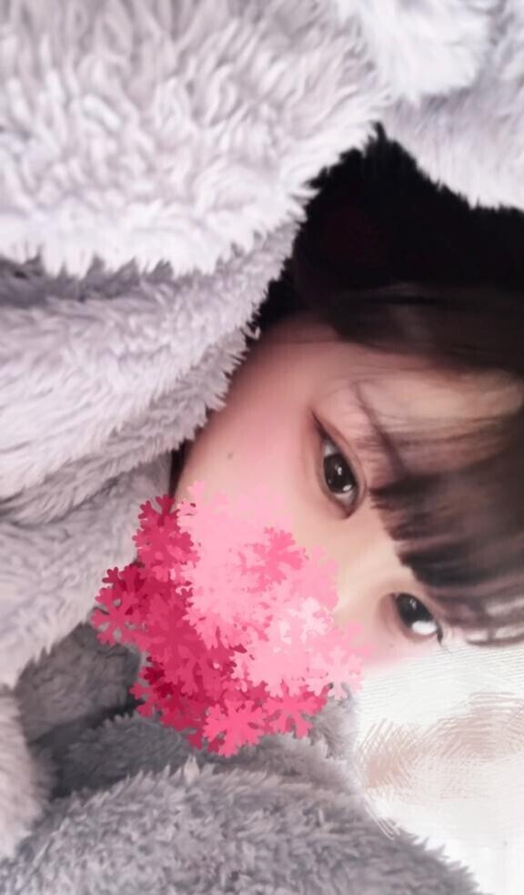 29日から