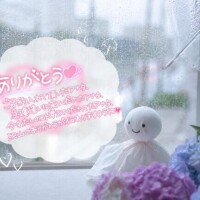 新人めい33歳
