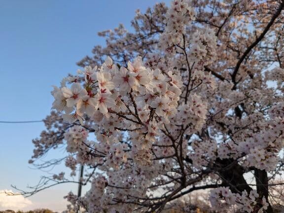 こんにちは??