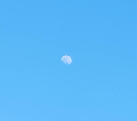 こんにちは(*???*)