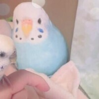 新人ゆうき34歳