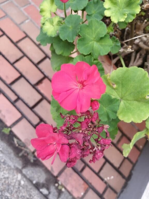 見てほしいな?