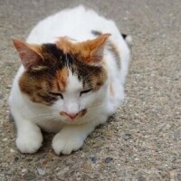 新人ゆうき34歳
