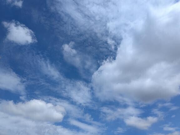 こんばん???????ﾜﾝ?